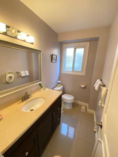 a bathroom with a sink and a mirror and a toilet at Lovely house in a nice community in Toronto