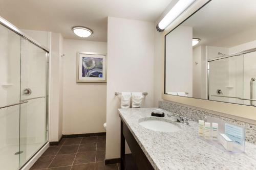 a bathroom with a sink and a large mirror at Hampton Inn and Suites Camp Springs in Camp Springs