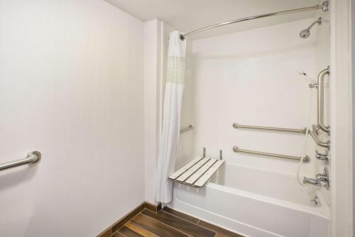 a bathroom with a shower and a bath tub at Hampton Inn Gaylord in Gaylord