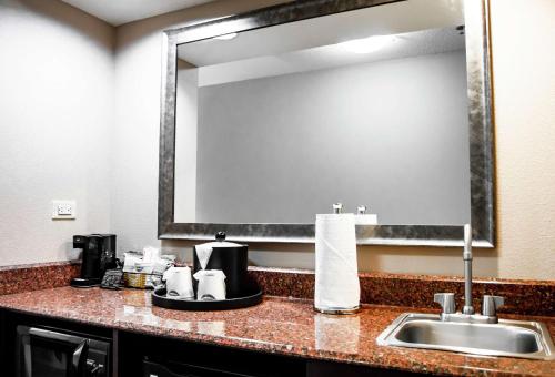 a bathroom with a sink and a large mirror at Hampton Inn & Suites Richmond Glenside in Richmond