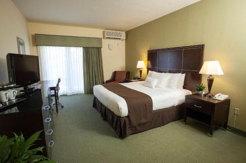 アメリカン・キャニオンにあるDoubleTree by Hilton Napa Valley - American Canyonのベッドとテレビが備わるホテルルームです。