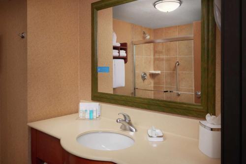 a bathroom with a sink and a large mirror at Hampton Inn by Hilton Youngstown-West I-80 in Mineral Ridge