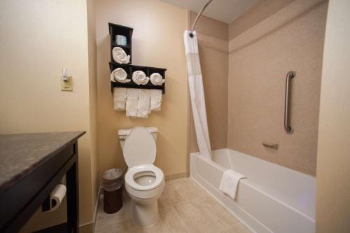 a bathroom with a toilet and a tub and a shower at Hampton Inn Fort Morgan in Fort Morgan