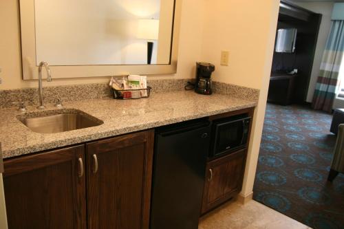 Hampton Inn & Suites Wilder tesisinde bir banyo