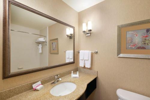 La salle de bains est pourvue d'un lavabo et d'un miroir. dans l'établissement Hilton Garden Inn Warner Robins, à Warner Robins