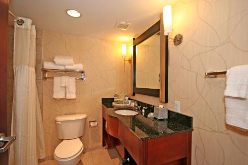 a bathroom with a toilet and a sink and a mirror at DoubleTree by Hilton Greensboro in Greensboro