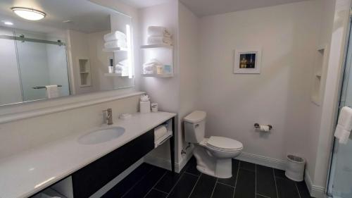 a bathroom with a sink and a toilet and a mirror at Hampton Inn Carlstadt At The Meadowlands in Carlstadt