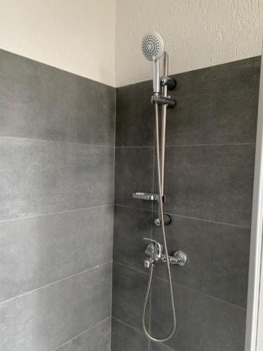 a shower with a shower head in a bathroom at Am Bahnhof in Zwickau