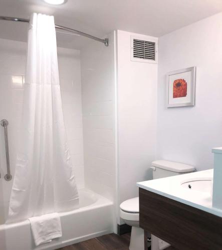 a white bathroom with a shower and a toilet at Hampton Inn Williamsport in Williamsport