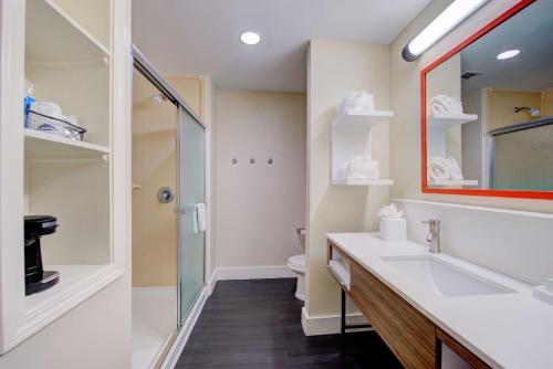 a bathroom with a sink and a toilet and a mirror at Hampton Inn Baton Rouge - Denham Springs in Denham Springs