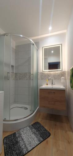 a bathroom with a shower and a sink and a mirror at Czarna Woda in Czarna Woda