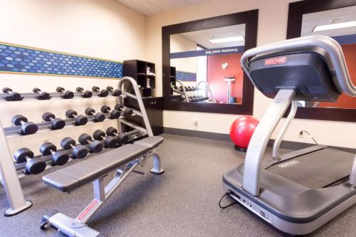 a gym with a treadmill and a mirror at Hampton Inn St. Louis Southwest in Fenton