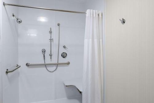 ein Bad mit Dusche und Duschvorhang in der Unterkunft Hampton Inn Columbia in Columbia
