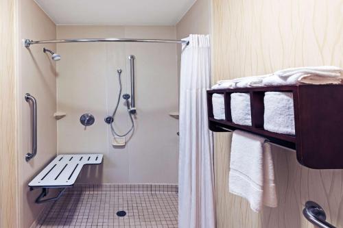 a bathroom with a shower and a bed and a toilet at Hampton Inn Aiken in Aiken
