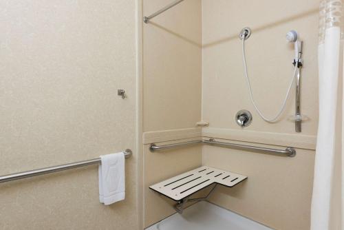 a small bathroom with a shower and a toilet at Hampton Inn Port Huron in Port Huron