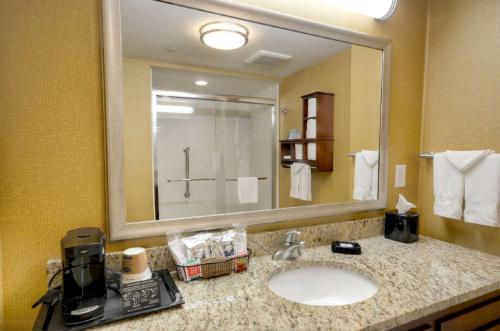 a bathroom with a sink and a large mirror at Hampton Inn & Suites Tifton in Tifton