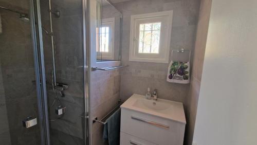 een badkamer met een douche en een wastafel bij Les Amandiers in Grasse