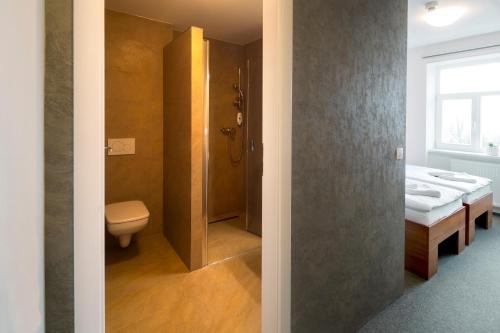 a bathroom with a toilet and a sink at Penzion Panský dvůr Telč in Telč