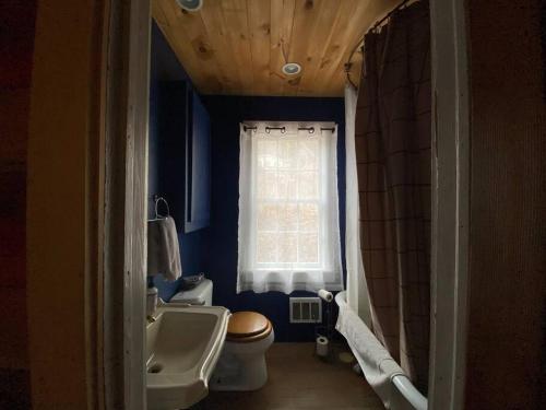 baño con lavabo y aseo y ventana en Mountain Farmhouse (The Lorca, Catskills), en Shandaken