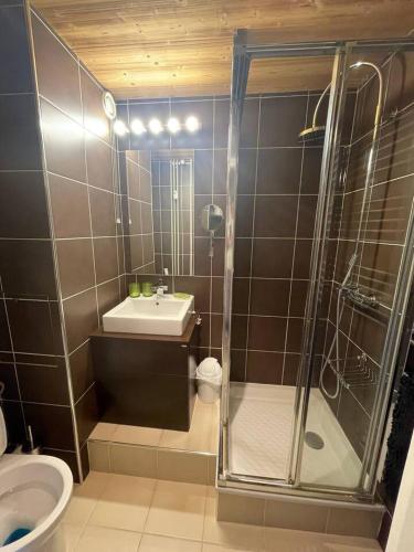 une salle de bain avec une douche, un lavabo et des toilettes dans l'établissement LOUE STUDIO MEGEVE, à Megève