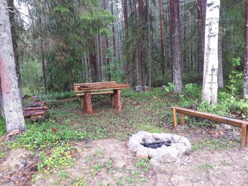 three wooden benches in a forest with trees at Villa Polarktis in Överkalix