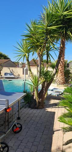 une table et des arbres à côté d'une piscine dans l'établissement Belle villa sur martigues, à Martigues