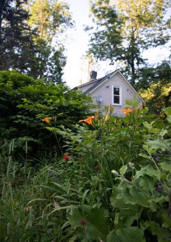 a garden with flowers in front of a house at Modern Cottage One (The Lorca, Catskills) in Shandaken