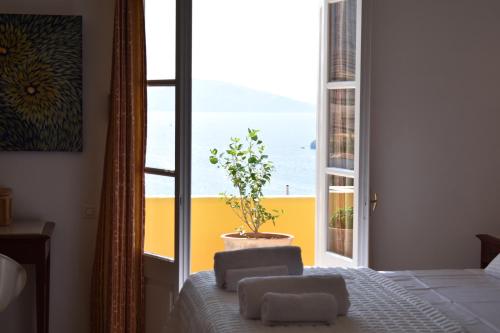 a bedroom with a window with a potted plant on a bed at Chez Le Goff in Hydra
