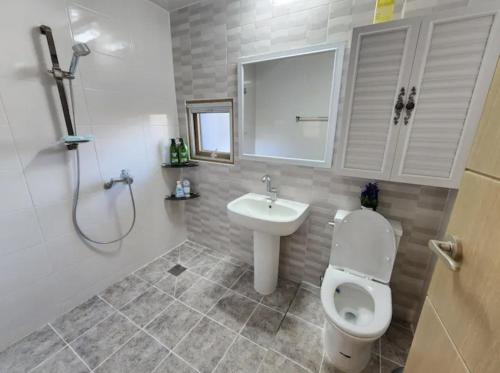 een badkamer met een toilet, een wastafel en een douche bij Doldamine Jeju in Jeju-stad