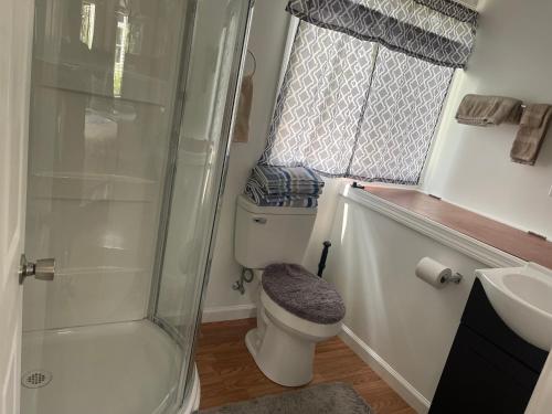 a bathroom with a shower and a toilet and a sink at Creekside Fantasy Inn in Hudson