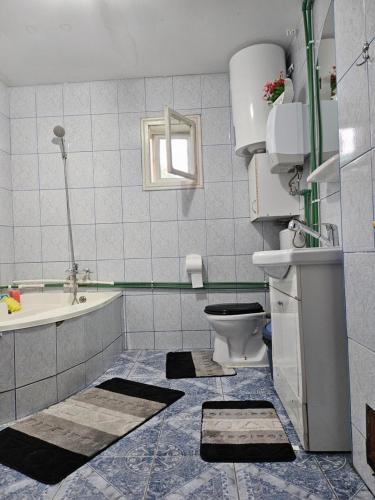 ein Badezimmer mit einem WC, einer Badewanne und einem Waschbecken in der Unterkunft Vila Anastasia in Bistricioara