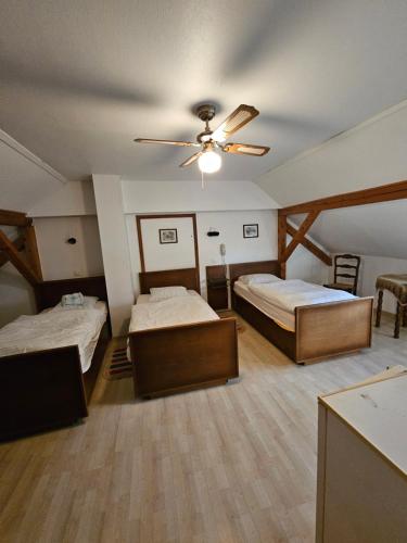 Cette chambre comprend deux lits et un ventilateur de plafond. dans l'établissement Hôtel restaurant à la croix d'or, à Sessenheim