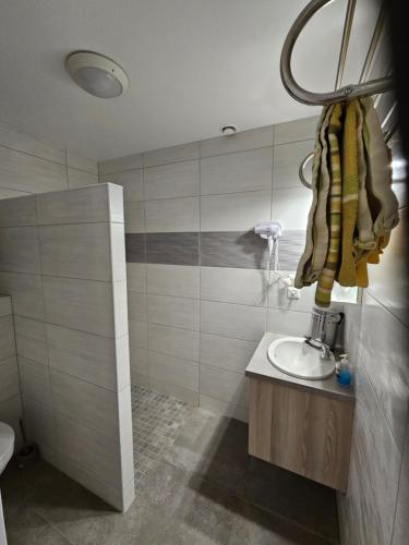 ein Bad mit einem Waschbecken, einem WC und einer Dusche in der Unterkunft Hôtel restaurant à la croix d'or in Sessenheim