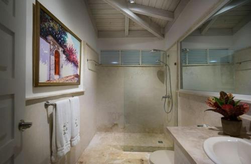 ein Bad mit einem Waschbecken, einem WC und einer Dusche in der Unterkunft Sunny Vacation Villa No 94 in San Rafael del Yuma
