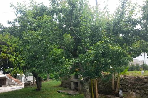 Giardino di Casa da Pedrada