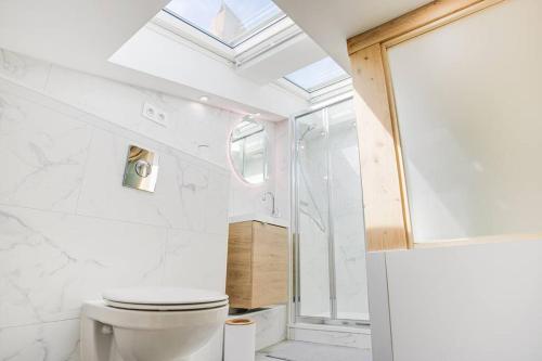 uma casa de banho com um WC e uma clarabóia em Le Saint-éxupery em Toulouse