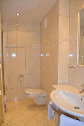 a bathroom with a toilet and a sink at Die Pension Galle in Arnoldstein