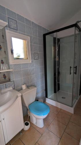 une salle de bain avec toilettes et douche en verre dans l'établissement Au Retour du Lac, à Ardres