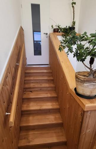 a wooden staircase in a room with a potted plant at Apartmán Husovka Bruntál - pokoj POLLY in Bruntál