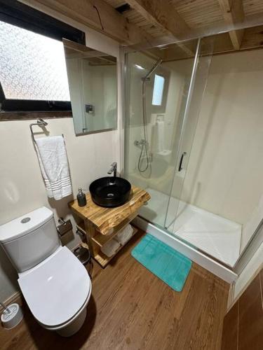 a bathroom with a toilet and a shower and a sink at Tiny house - Playa in Arauco