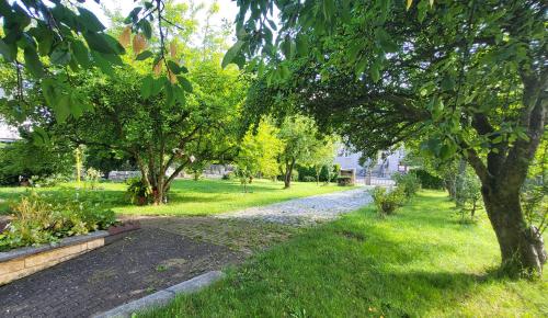 a path in a park with trees and grass at Apartmán Husovka Bruntál - pokoj POLLY in Bruntál