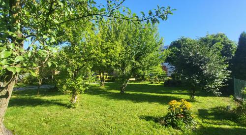 a green yard with trees and green grass at Apartmán Husovka Bruntál - pokoj POLLY in Bruntál