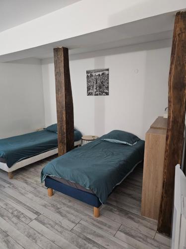 1 Schlafzimmer mit 2 Betten und grüner Decke in der Unterkunft Studio in Fains-les-Sources