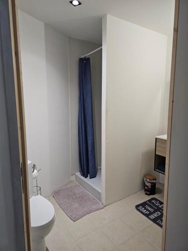 ein Bad mit einem WC und einem blauen Duschvorhang in der Unterkunft Studio in Fains-les-Sources