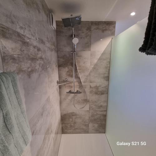 La salle de bains est pourvue d'une douche avec un pommeau de douche. dans l'établissement Mountain-Lake Apartment 2, à Wilderswil