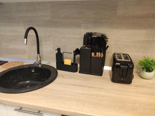 eine Badezimmertheke mit einem Waschbecken und einem Toaster in der Unterkunft The Nest in Floreşti