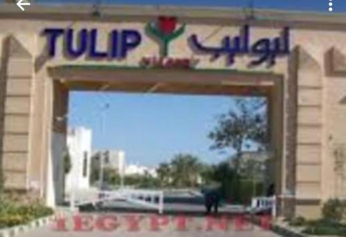Chalet at Tulip ain el sokhna for rent