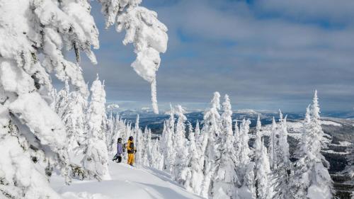 a group of people skiing down a snow covered mountain at Kookaburra Lodge #401 By Bear Country in Sun Peaks