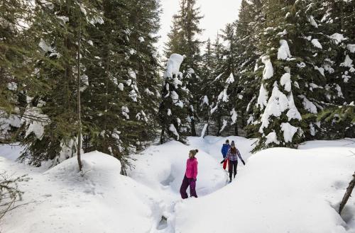 three people cross country skiing through a snow covered forest at Fireside Lodge #409 By Bear Country in Sun Peaks