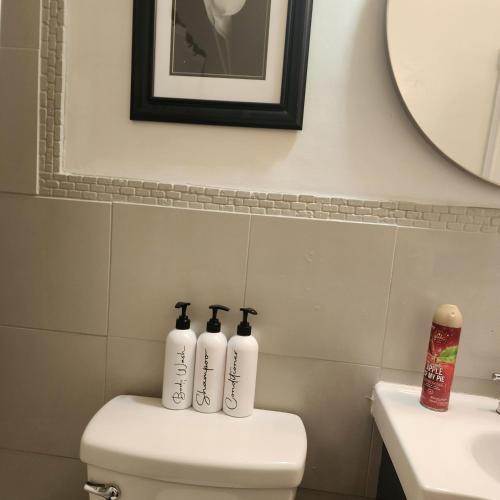 a bathroom with three bottles on the back of a toilet at Cozy View Downtown Atlanta Condo in Atlanta